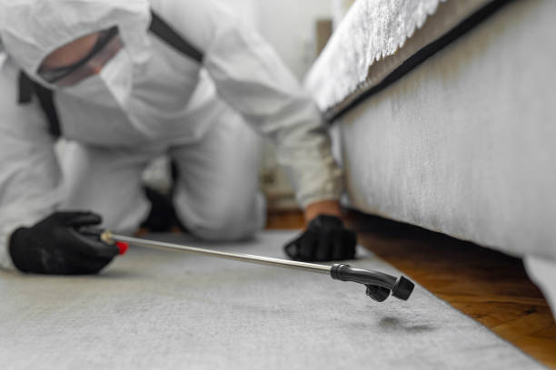 Professional Ant Control technician working in Cottonwood Shores, TX