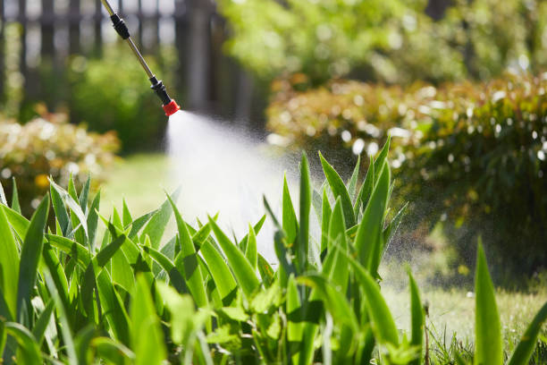 24/7 Emergency Wasp Removal experts in Cottonwood Shores, TX