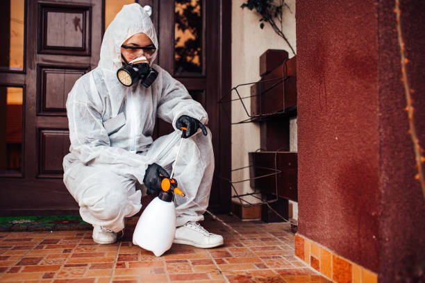 Reliable Wasp Removal contractor in Cottonwood Shores, TX by Show Me Pest Control